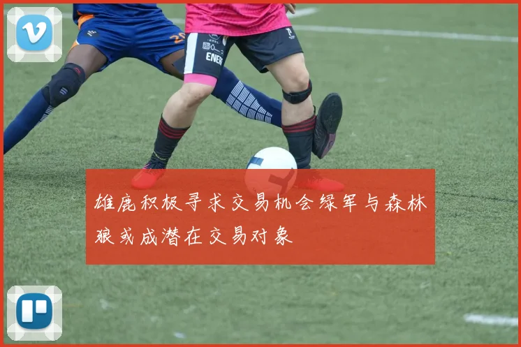 雄鹿积极寻求交易机会绿军与森林狼或成潜在交易对象