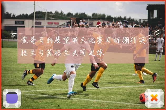 蒙哥马利展望明天比赛目标期待英格兰与苏格兰共同进球